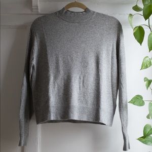 Everlane Cashmere Crop Mockneck Sweater